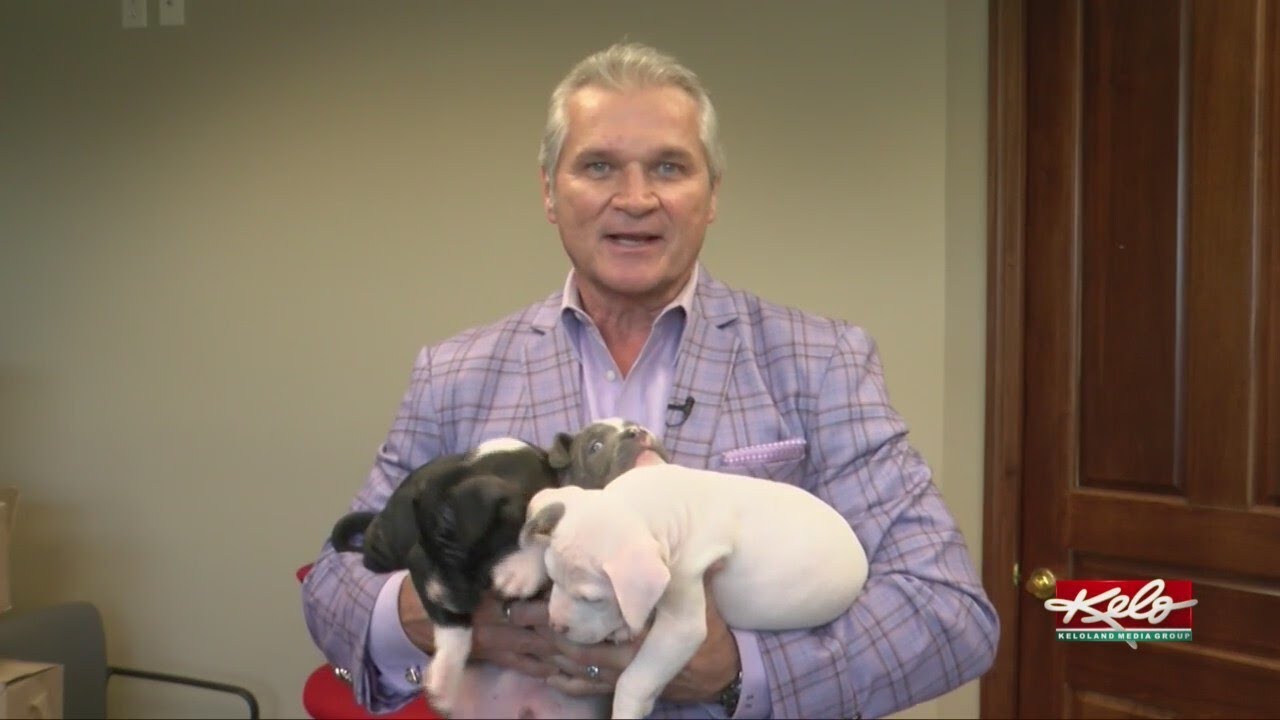 3 puppies in false dumpster story ready for adoption - YouTube