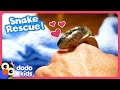 This Snake Is Stuck In Slimy Goo! Help! | Dodo Kids | Rescued!