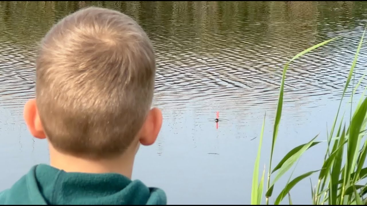 Приморско-Ахтарск сборный дом видео