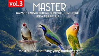 Master Vol3 Kapas Tembak, Cucak Cungko, Love Bird - Terapi Air. agar burung tidak stres.