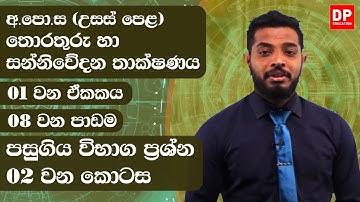 01 වන ඒකකය | 08 වන පාඩම  -  පසුගිය විභාග ප්‍රශ්න  -  02 වන කොටස | AL IT Unit 01 Lesson 08