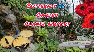 Magical Butterfly Garden in changi airport Singapore