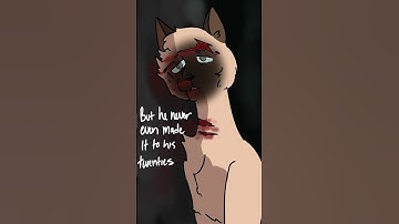 army dreamers | warrior cats oc