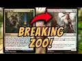 Breaking zoo brew destroys meta  modern  mtgo