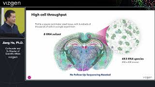 In Situ Single-Cell Transcriptomic Imaging in FFPE Tissues with MERSCOPE