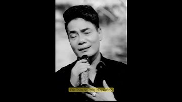 Nghe mãi không chán l Eric Toàn Nguyễn l Huy Cường l Bolero l Những ngày xưa thân ái