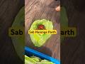 Sab harenge parth #radheshyam