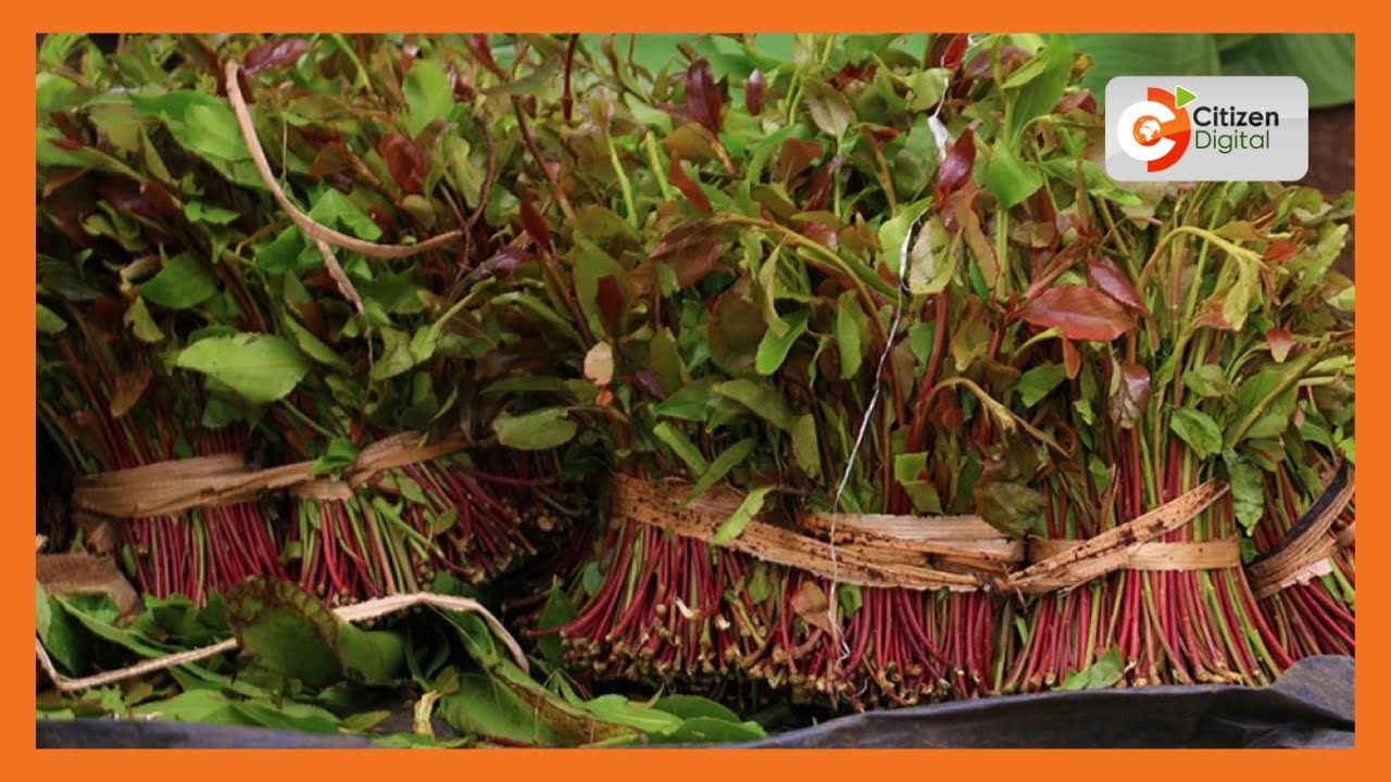 Wahubiri watoa msimamo wao kuhusu marufuku ya muguka Mombasa