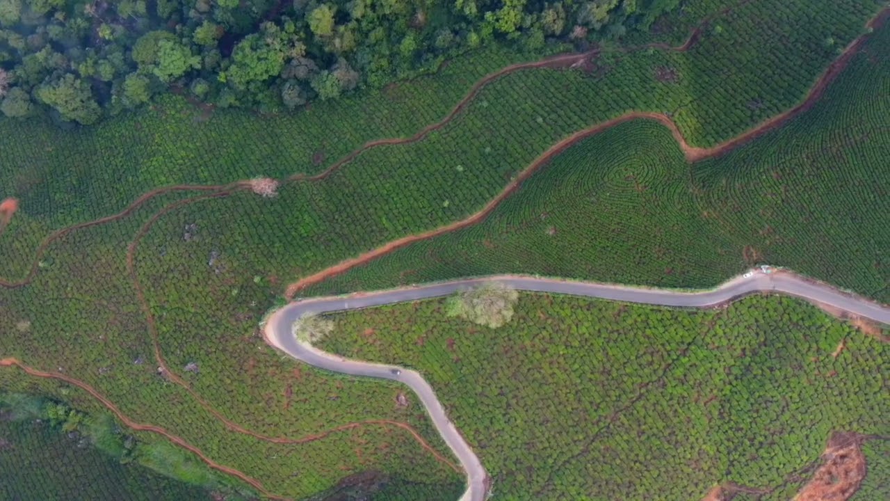 Munnar you beauty! 🤩