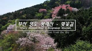 봉래산 영상