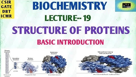BIOCHEMISTRY- STRUCTURE OF PROTEIN ( BASIC INTRODUCTION) | CSIR NET | GATE | DBT | ICMR
