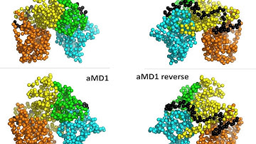 Molecular dynamics simulations of apo-2B3Y