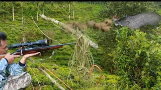 JAGURr99 Berburu di kebun Keramat Argopuro#mystery ##vidio_short 