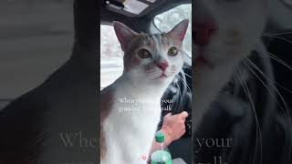 Cute, But Clearly Dissatisfied