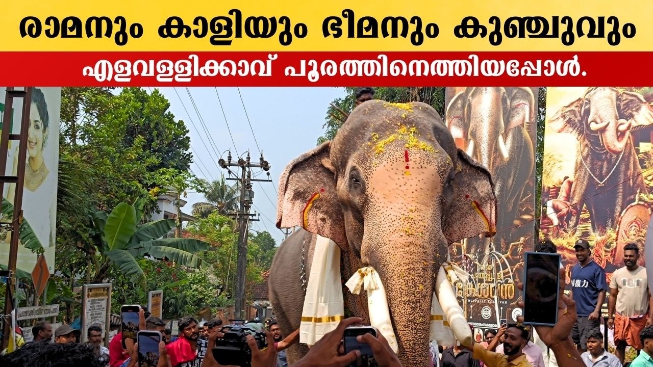 രാമനും, കാളിയും, കേശവനും എളവള്ളിക്കാവ് പൂരത്തിനെത്തിയപ്പോൾ.