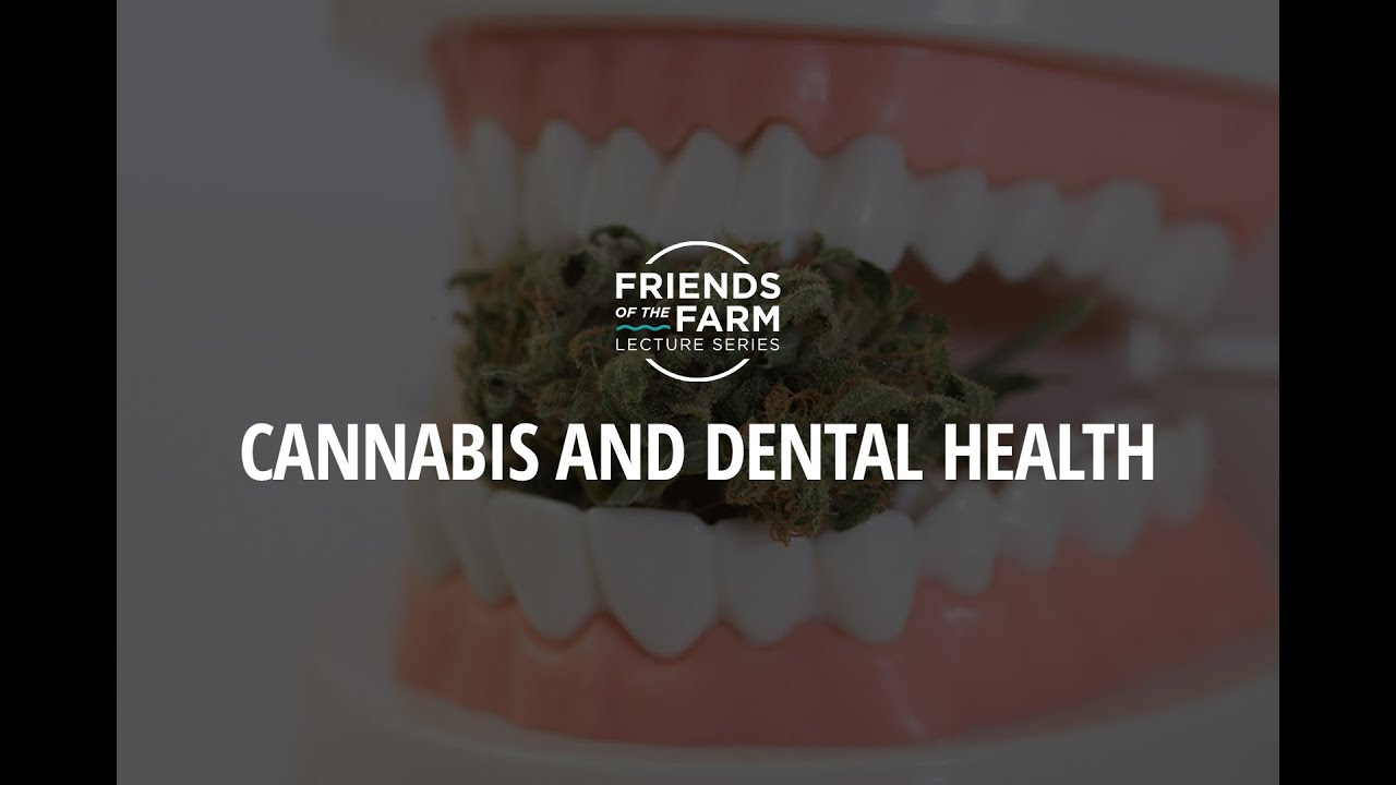 Cannabis and Dental Health