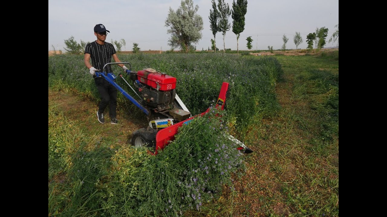 136 120D alfalfa reaper vertical kinfe - Yancheng Xinmingyue Machine