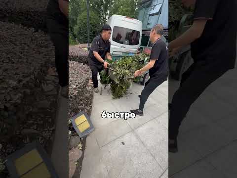 Зачем нужны водяные каштаны? 😳🤯
