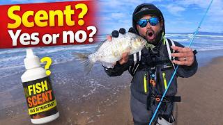 Do Bait Scents make a difference surf fishing?
