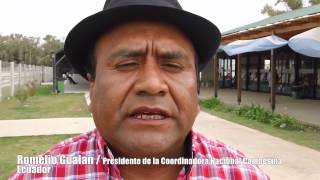 Saludos Internacionales A La Confluencia Política Mpld-Mtk