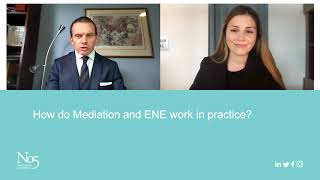 Alternatives to a final hearing: mediation and early neutral evaluation