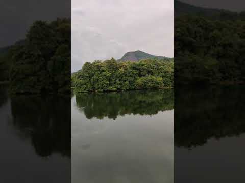 Video: Ranganathittu-Nesting among the reeds