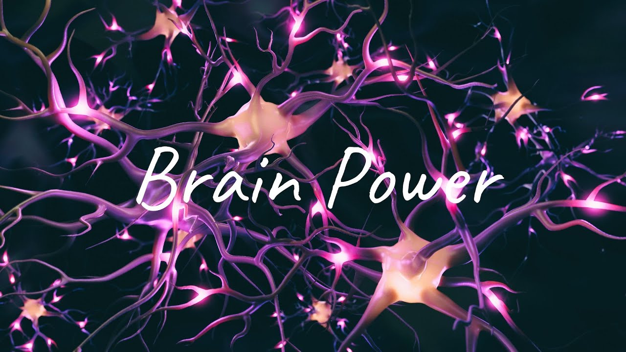 Enhance Your Brain Health with a Free Online Short Course