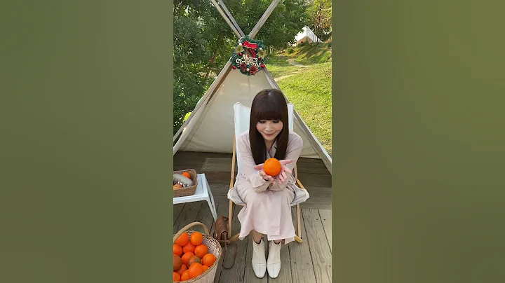 【短片】橙香森林开放采果囉，满满结实累累的橘子果园，好好拍 - 天天要闻