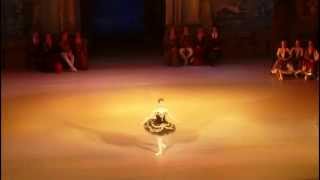 Swan Lake: Odile variation