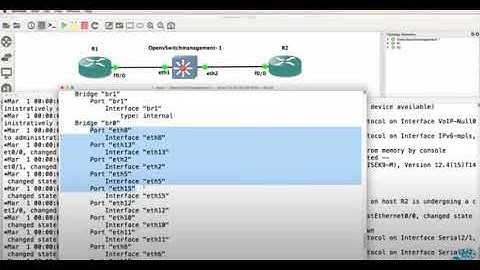 Intrusion Prevention System Software Defined Networking