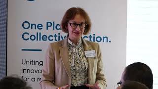 Nordic-Baltic Climate Cooperation in Türkiye: Pre-COP31 Climate Policy Workshop | Ankara 2026