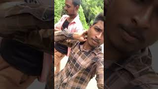 Bihar Mini vlog 👀🥰 #qurbanvlogs #minivlog #vlog #shortvideo #automobile