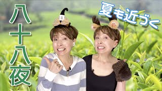 八十八夜、茶畑応援SP。不老長寿で縁起が良い、美味しい一番茶を飲もう！【おうちで学ぼう交通安全】