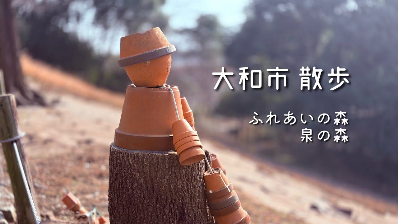 【大和市】ふれあいの森・泉の森を歩いてきたよ！