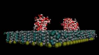 Water molecules on the hydrophobic surface