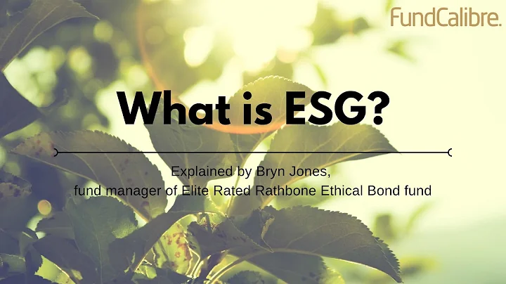 Ethical Investing: measuring sustainability with environmental, social and governance (ESG)