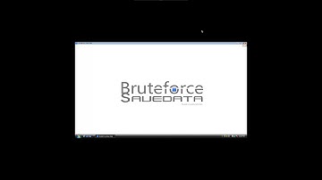 BruteForce Savedata 4.7.4 *How to Update Cheat Database*