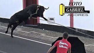 Tourada à corda na Vila Nova, 30 de agosto de 2018