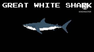 Sharks 1 & 2 - The Kids Picture Show