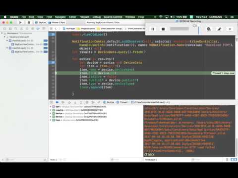 Xcode Debugger single step