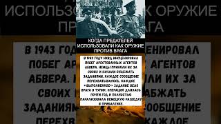 Предателей использовали против врагов! #вов #история #history #ссср