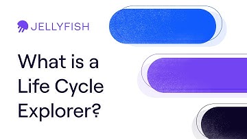 What is a Life Cycle Explorer? Analyzing Software Development Bottlenecks, Indicators and Solutions