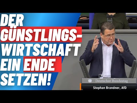 Der Günstlingswirtschaft ein Ende setzen!