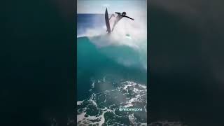 Chill Music #shorts #stressrelief #relaxmezone #chillmusic #meditation #peacefulwaves #oceandreams