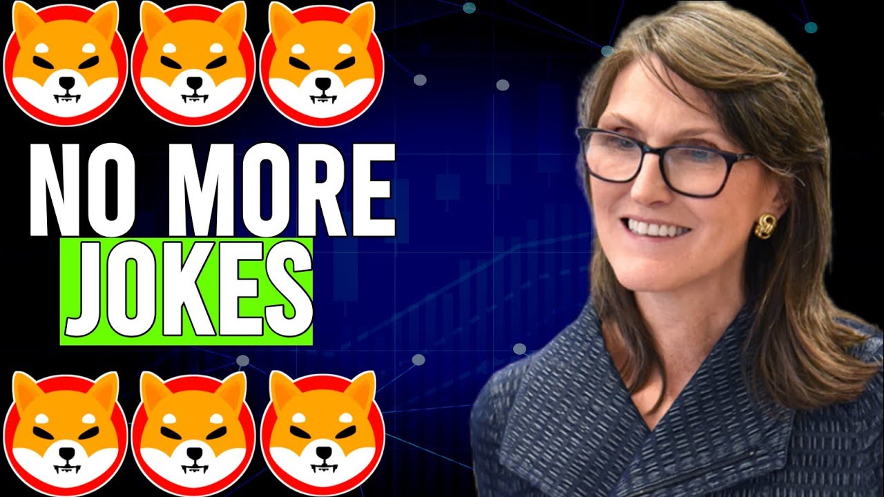 SHIBA INU: WE NEED TO BE HONEST WITH OURSELVES ABOUT SHIB !!! - SHIBA INU COIN NEWS TODAY