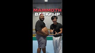 Tinuruan ko si Mammoth Mag-Backflip! 😱