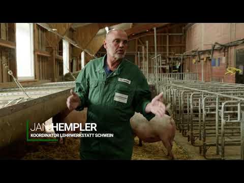 Outline Video Stallbautipps für die alternative Sauenhaltung