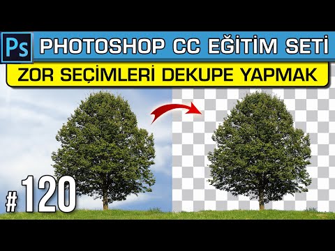 120: Zor Seçimleri Dekupe Etmek | Ağaç Dekupe | Arka Planı Silme | Photoshop Dersleri