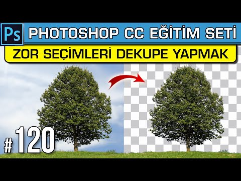 Video: Photoshop'ta Bir Ağaç Nasıl Seçilir