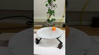 2D PID Stabilizer